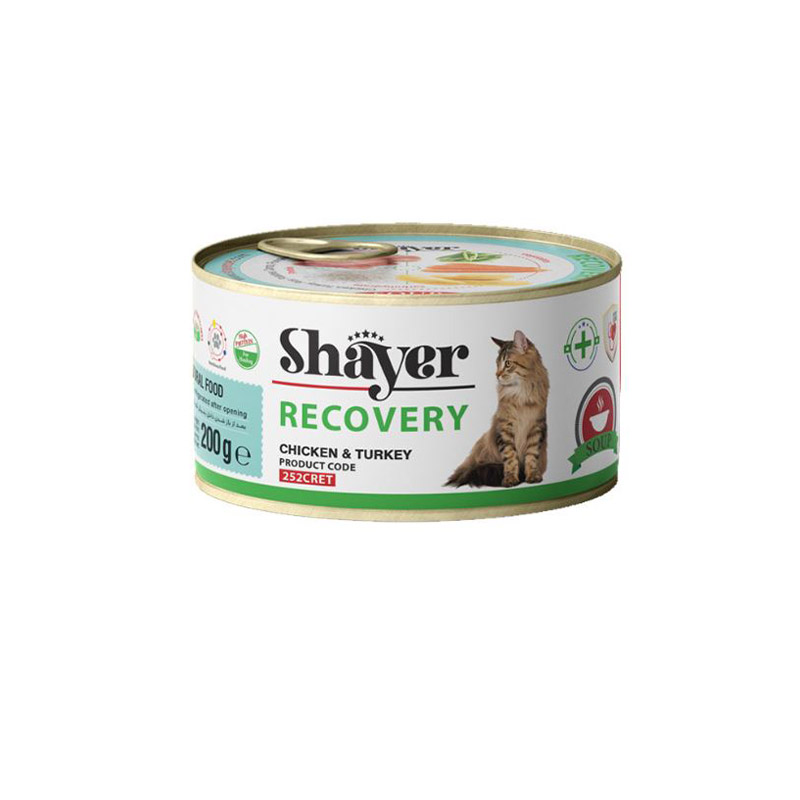 Shayer-recovery-cat