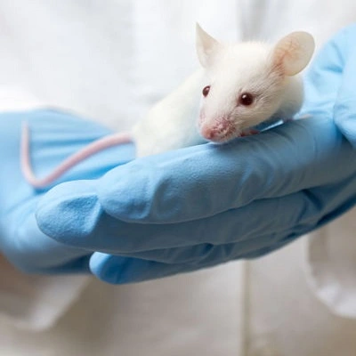 دستورالعمل جامع واکسیناسیون موش